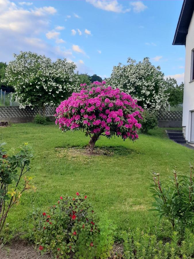 Ferienwohnung Fulbier Oberzissen Esterno foto